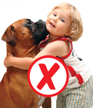 Pets and children do not understand how to behave with each other. Toddlers can accidentally do things to hurt or upset your pet.